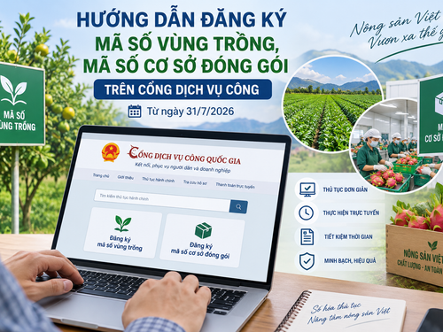 Hướng dẫn đăng ký mã số vùng trồng, mã số cơ sở đóng gói trên Cổng Dịch vụ công