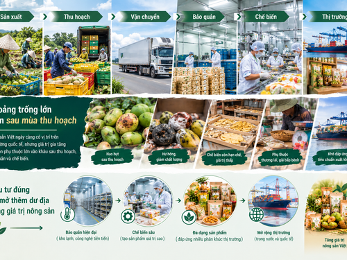 Nông sản Việt mất giá trị ở đâu? Khoảng trống lớn nằm sau mùa thu hoạch