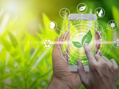 Khi dấu chân carbon trở thành tiêu chí chọn nhà cung cấp
