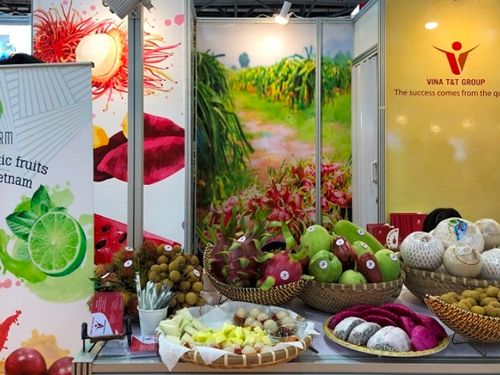 Giá nông sản hôm nay 13/9: Tiêu đi ngang, cà phê giảm, gạo nguyên liệu tăng