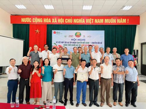 Bưởi đỏ Đông Cao – Từ tâm huyết người trồng đến giá trị nông sản địa phương
