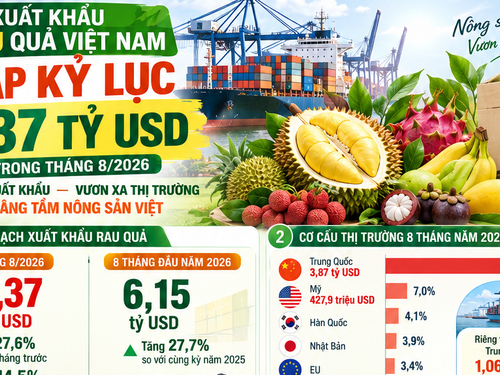 [Infographic] Xuất khẩu rau quả lập kỷ lục 1,37 tỷ USD trong tháng 8 năm 2026