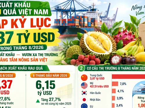 [Infographic] Xuất khẩu rau quả lập kỷ lục 1,37 tỷ USD trong tháng 8 năm 2026