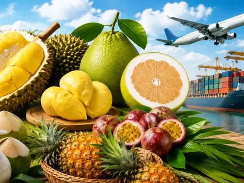 Xuất khẩu rau quả tháng 8 lập kỷ lục 1,37 tỷ USD, sầu riêng tiếp tục là động lực lớn