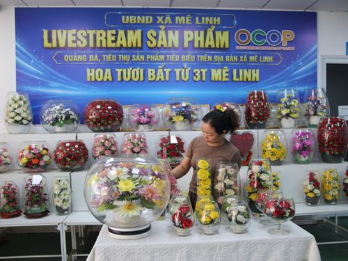 Hoa khô Mê Linh – hành trình lưu giữ vẻ đẹp của những mùa hoa
