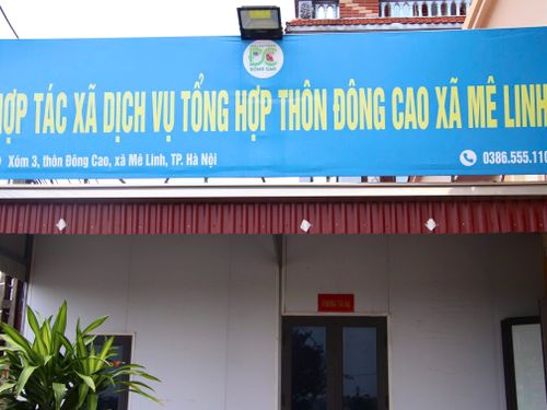 Vựa rau Đông Cao giữa những đổi thay của vùng đất Mê Linh
