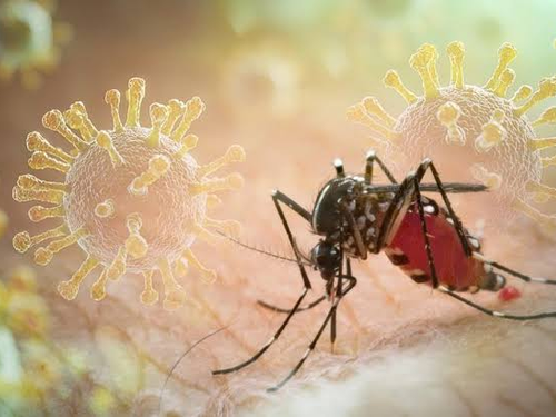 Sốt xuất huyết Dengue: Nhiều ca bệnh phức tạp, cảnh báo nguy cơ chủ quan