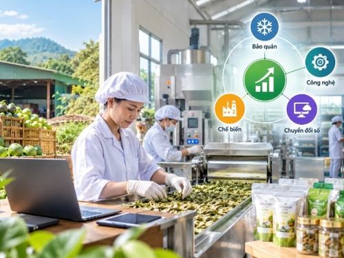Doanh nghiệp nông thôn: Đầu tư đúng điểm nghẽn để tăng hiệu quả