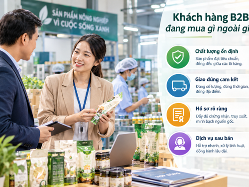 Khách hàng B2B đang mua gì ngoài giá?