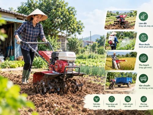 Máy nông nghiệp: Không cần ruộng lớn mới cơ giới hóa