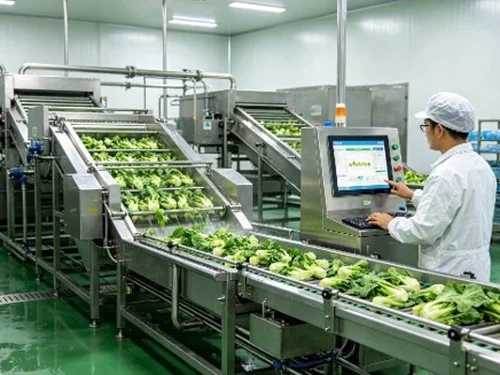 Cơ giới hóa sau thu hoạch: Mắt xích còn thiếu để giữ giá trị nông sản