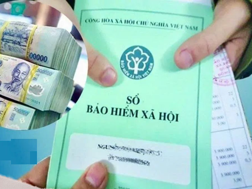 Gần 7.000 doanh nghiệp tại TP Hồ Chí Minh chậm đóng BHXH, hàng nghìn đơn vị không đến làm việc