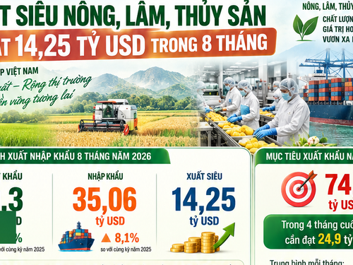 [Infographic] Xuất siêu nông, lâm, thủy sản đạt 14,25 tỷ USD trong 8 tháng
