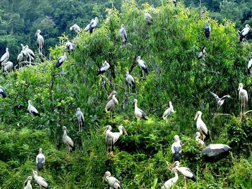 Tổ chức lại không gian sản xuất, mở hướng phát triển nông nghiệp Ninh Bình