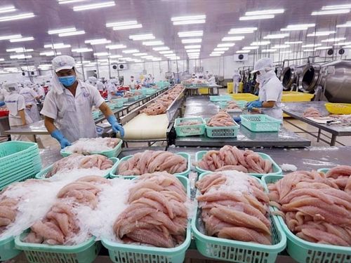 Xuất khẩu thủy sản Việt Nam: Tăng trưởng chậm lại, doanh nghiệp đối mặt nhiều sức ép
