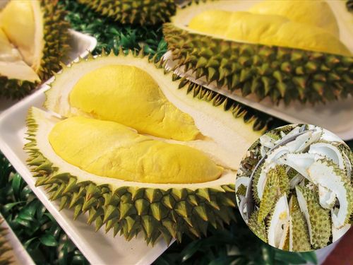 Vỏ sầu riêng – Từ phụ phẩm đến nguồn nguyên liệu mới