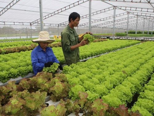 Hà Nội đẩy mạnh số hóa chuỗi sản xuất, kinh doanh nông sản, thực phẩm