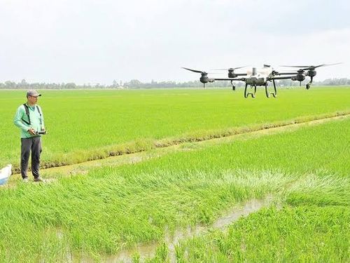Kinh tế tập thể Đồng Tháp: Từ liên kết sản xuất đến nâng cao giá trị nông sản