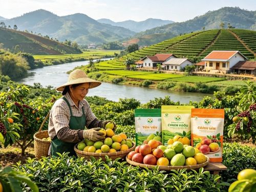 Chỉ dẫn địa lý thành lợi thế: Khi sản phẩm nông thôn có “địa chỉ” để cạnh tranh