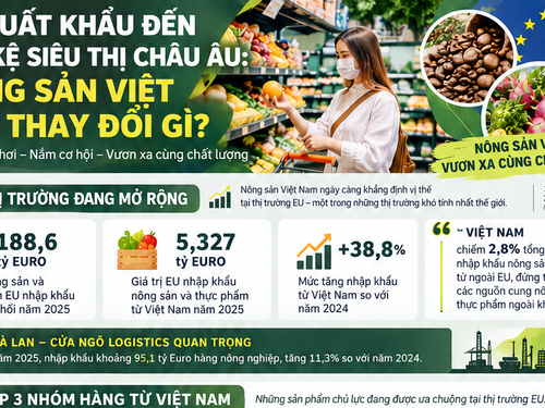 [Infographic] Từ xuất khẩu đến lên kệ siêu thị châu Âu: Nông sản Việt cần thay đổi gì?