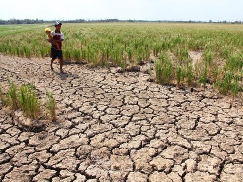 El Niño mạnh trở lại, miền Trung, Tây Nguyên và Nam Bộ đối mặt nguy cơ thiếu nước