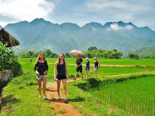 Tìm kiếm những điểm đến du lịch nông thôn tiêu biểu của Việt Nam