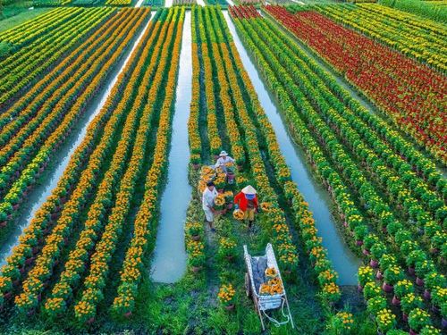 Giữ chân người trẻ: Bài toán nguồn nhân lực của nông nghiệp hiện đại