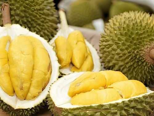 Giá sầu riêng hôm nay 25/9: Một số phân hạng tăng tại Đồng bằng sông Cửu Long