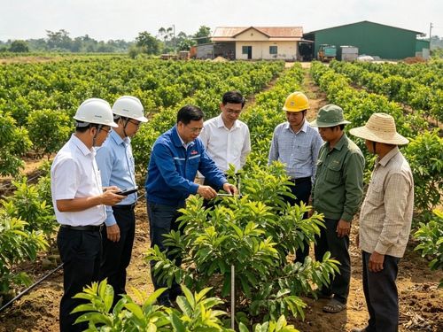 Liên kết nông dân – doanh nghiệp: Từ hợp đồng vùng nguyên liệu đến kinh nghiệm góp đất