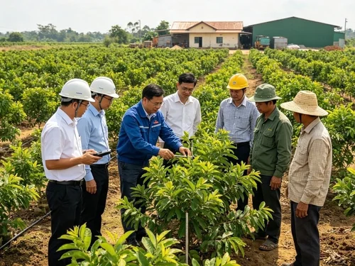 Liên kết nông dân – doanh nghiệp: Từ hợp đồng vùng nguyên liệu đến kinh nghiệm góp đất