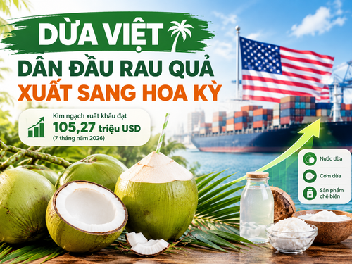 [Infographic] Dừa Việt dẫn đầu rau quả xuất sang Hoa Kỳ