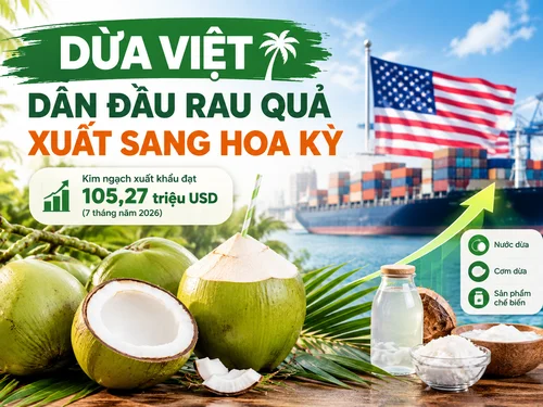 [Infographic] Dừa Việt dẫn đầu rau quả xuất sang Hoa Kỳ