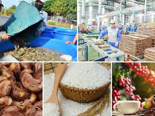 Xuất khẩu nông, lâm, thủy sản đạt 56,3 tỷ USD sau 9 tháng, còn gần 18 tỷ USD mục tiêu