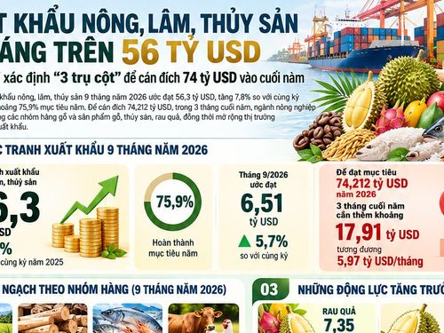 [Infographic] Xuất khẩu nông, lâm, thủy sản 9 tháng đạt 56,3 tỷ USD, hướng tới mục tiêu hơn 74 tỷ USD