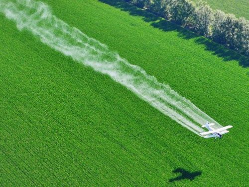 Trung Quốc kết hợp ổn định vật tư và công nghệ để củng cố an ninh lương thực