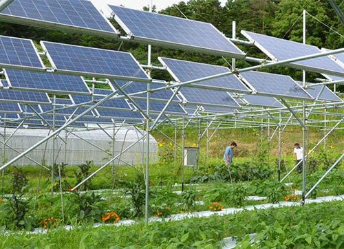 Nông điện kết hợp: Khi một diện tích đất cùng sản xuất lương thực và năng lượng