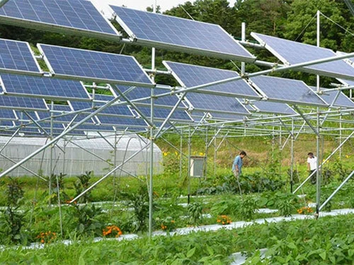 Nông điện kết hợp: Khi một diện tích đất cùng sản xuất lương thực và năng lượng