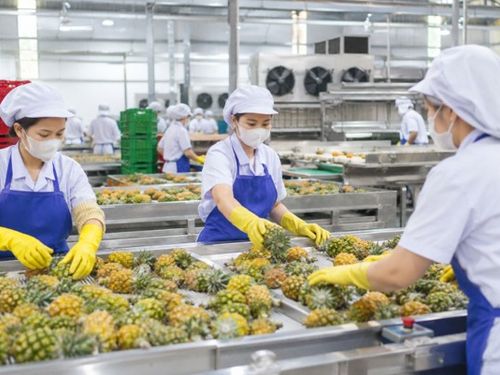 Hết mùa vẫn chạy máy: Doanh nghiệp nông thôn hướng tới sản xuất quanh năm
