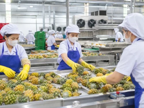 Hết mùa vẫn chạy máy: Doanh nghiệp nông thôn hướng tới sản xuất quanh năm