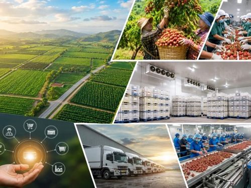 Vùng nguyên liệu lớn lên, ai sẽ hưởng lợi trước?