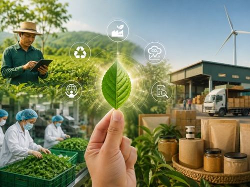 Tiêu chuẩn xanh: Doanh nghiệp nông thôn đang bán thêm giá trị gì?