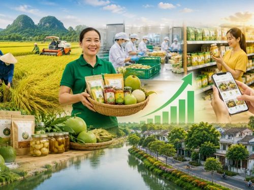 Làm ra nhiều sản phẩm, vì sao nhiều vùng quê vẫn chưa giàu?