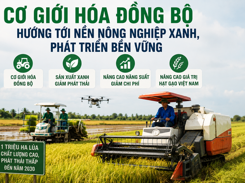 Cơ giới hóa đồng bộ hướng tới nền nông nghiệp xanh, phát triển bền vững