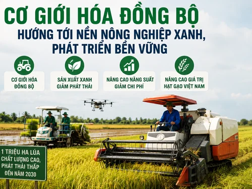 Cơ giới hóa đồng bộ hướng tới nền nông nghiệp xanh, phát triển bền vững