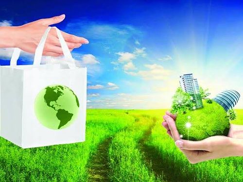 Bao bì mềm khó nhận diện: Thách thức mới đối với doanh nghiệp xuất khẩu