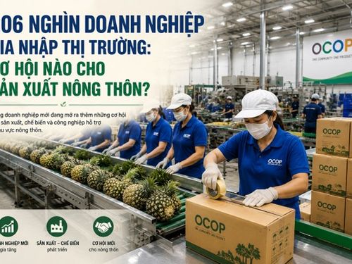 206 nghìn doanh nghiệp gia nhập thị trường: Cơ hội nào cho sản xuất nông thôn?