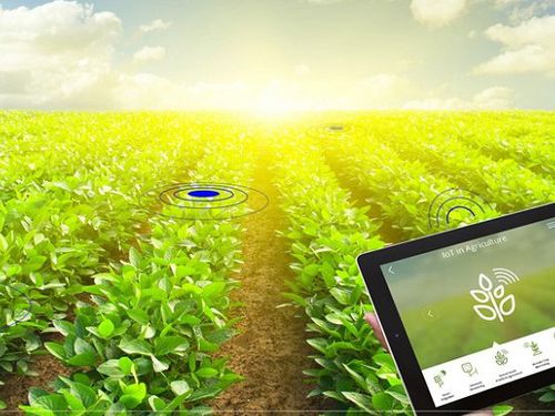 Số hóa mở đường cho nông sản Việt chinh phục thị trường giá trị cao