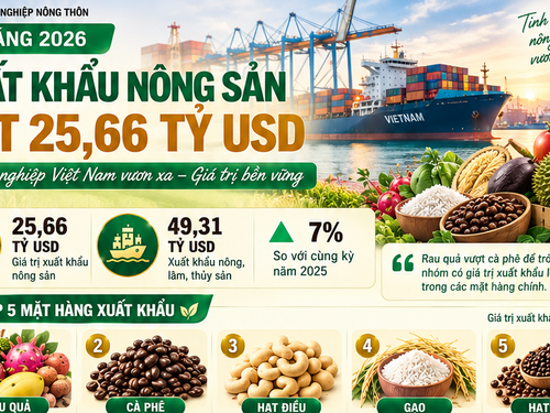 [ Infographic] Xuất khẩu nông sản Việt Nam đạt 25,66 tỷ USD sau 8 tháng