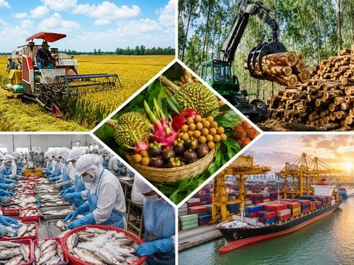 Xuất khẩu nông, lâm, thủy sản đạt gần 49,3 tỷ USD sau 8 tháng