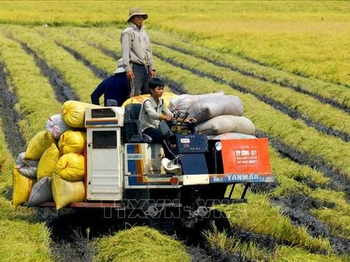Việt Nam đang có nhiều cơ hội phát triển nông nghiệp xanh bền vững